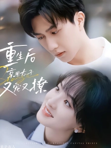 短剧重生后京圈太子又宠又撩海报