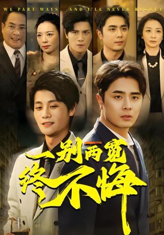 短剧一别两宽终不悔海报