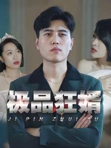 短剧极品狂婿海报