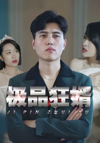 短剧极品狂婿海报