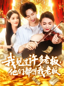 短剧我见过许多老板，他们都叫我老板海报