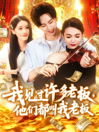 短剧我见过许多老板，他们都叫我老板海报