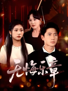 短剧无悔乐章海报