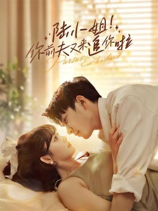 短剧陆小姐！你前夫又来追你啦海报