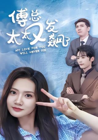 短剧傅总太太又发飙了海报