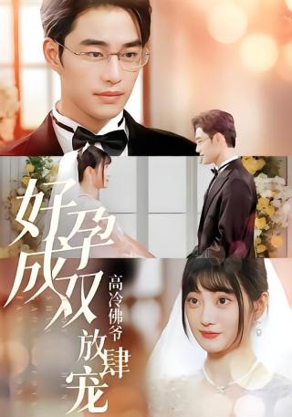 短剧好孕成双高冷佛爷放肆宠海报