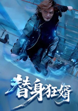 短剧替身狂婿海报