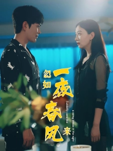 短剧忽如一夜春风来海报