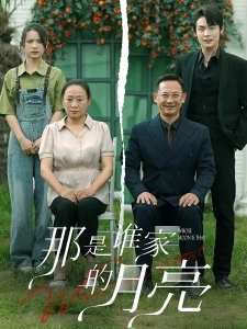 短剧那是谁家的月亮海报