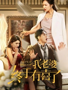 短剧我老婆终于有喜了海报