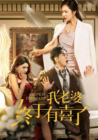 短剧我老婆终于有喜了海报