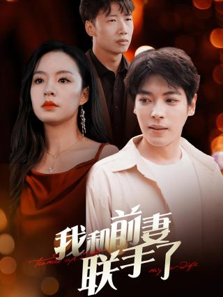 短剧我和前妻联手了海报