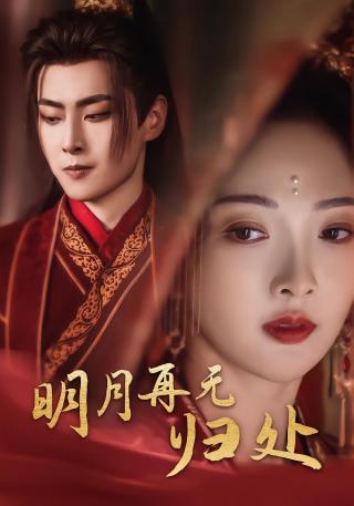 短剧明月再无归处海报