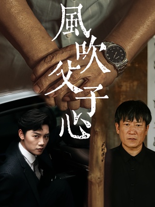 短剧风吹父子心海报