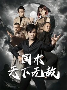 短剧国术天下无敌海报