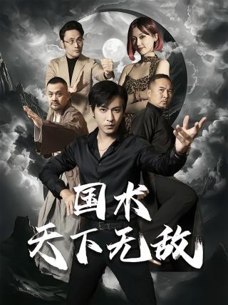 短剧国术天下无敌海报