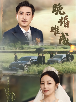 短剧晚婚难成海报