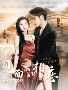 短剧见面不如相恋海报