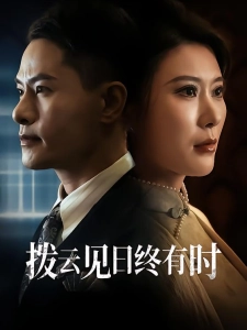 短剧拨云见日终有时海报