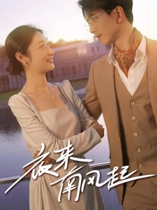 短剧夜来南风起海报