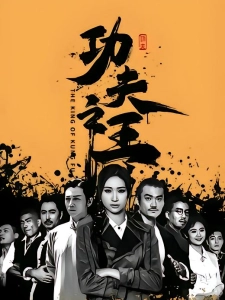 短剧功夫之王海报