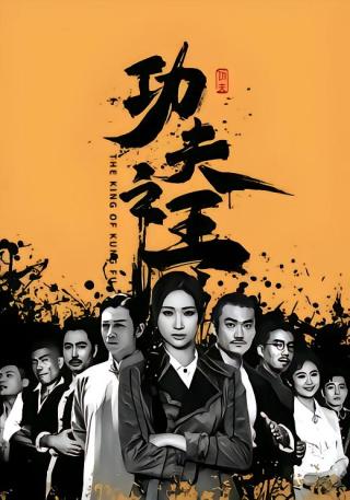 短剧功夫之王海报