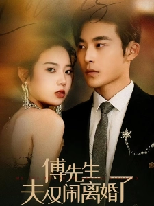 短剧傅先生夫人又闹离婚了海报