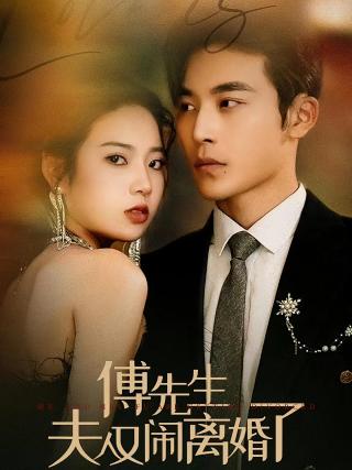 短剧傅先生夫人又闹离婚了海报