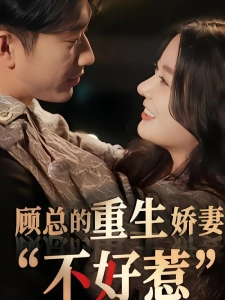 短剧顾总的重生娇妻不好惹海报