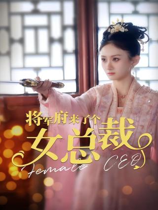短剧将军府来了个女总裁海报