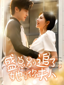 短剧盛总别追了，她是你夫人海报