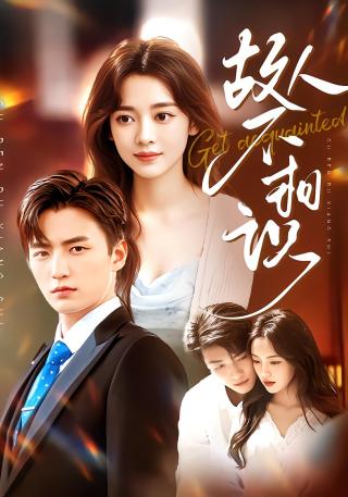 短剧故人不相识海报