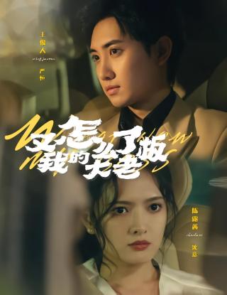 短剧又怎么了我的大老板海报