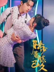 短剧陆少蓄谋已久海报