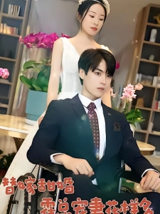 短剧替嫁甜婚：霍总宠妻花样多海报