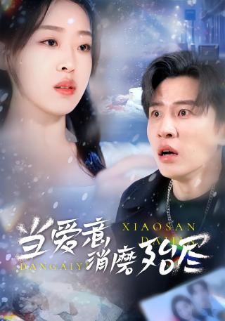 短剧当爱意消磨殆尽海报