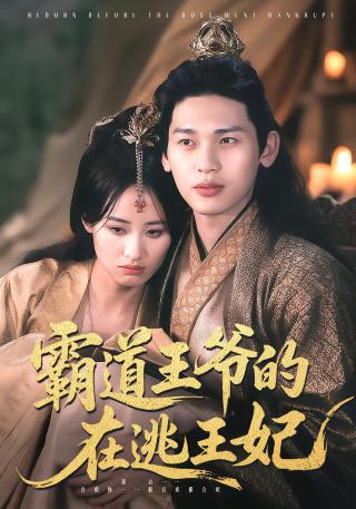 短剧霸道王爷的在逃王妃海报