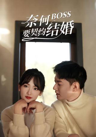 短剧奈何BOSS要契约结婚海报