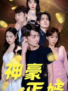 短剧神豪丐婿海报