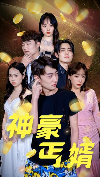 短剧神豪丐婿海报