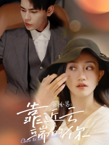 短剧女扮男：靠近云端的你海报