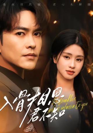 短剧入骨相思君不知海报