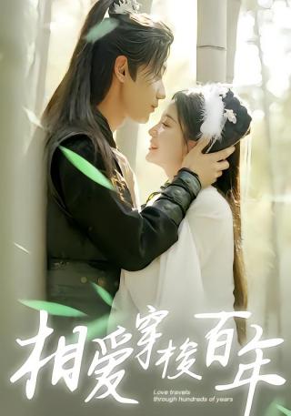 短剧相爱穿梭百年海报