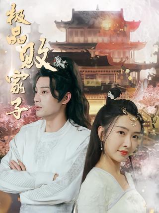 短剧极品败家子海报