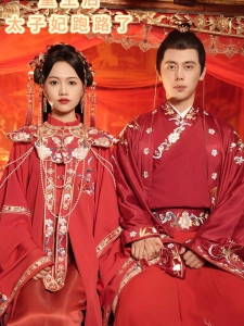 短剧重生后太子妃跑路了海报