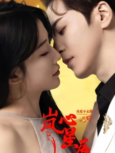 短剧岚心星辰海报