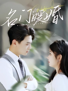 短剧名门暖婚海报