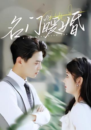 短剧名门暖婚海报