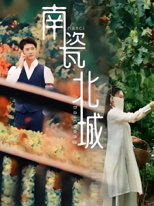 短剧南瓷北城海报