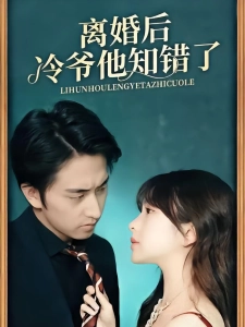 短剧离婚后冷爷他知错了海报